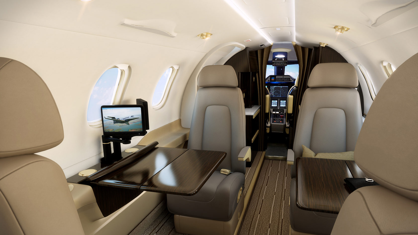 EMBRAER PHENOM 300 — фото 3